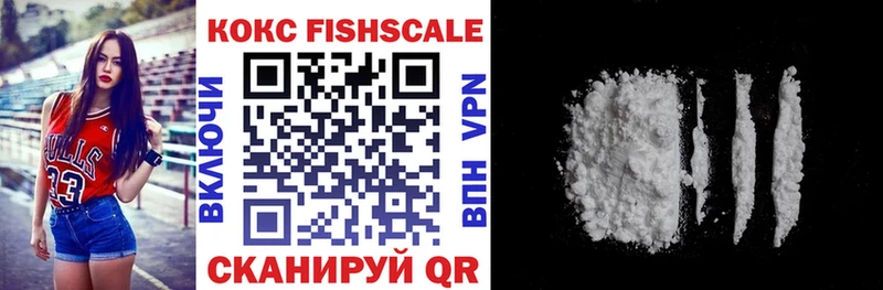 КОКАИН FishScale  Купить закладки  Оса 