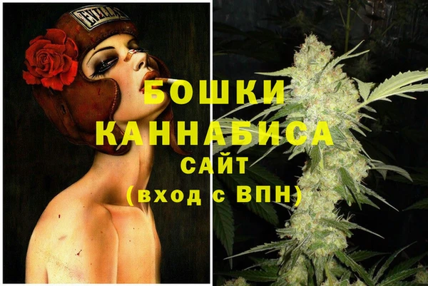 шишки Бронницы
