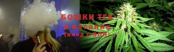 шишки Бронницы