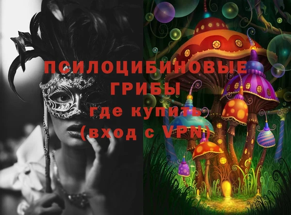 ALPHA PVP Белокуриха