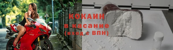 шишки Бронницы
