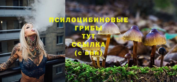 гашишное масло Бородино