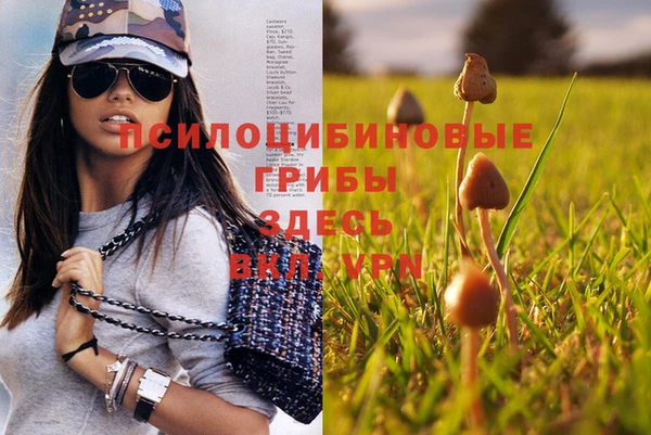 амф Бугульма