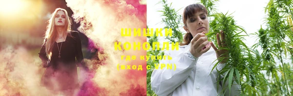 шишки Бронницы
